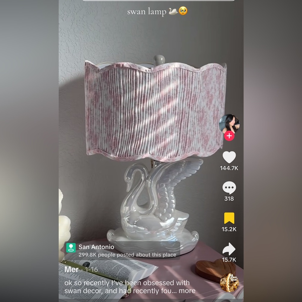 TikTok VIRAL New Karma Home Swan Lamp with Pink Floral Shade